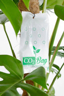 CO2
