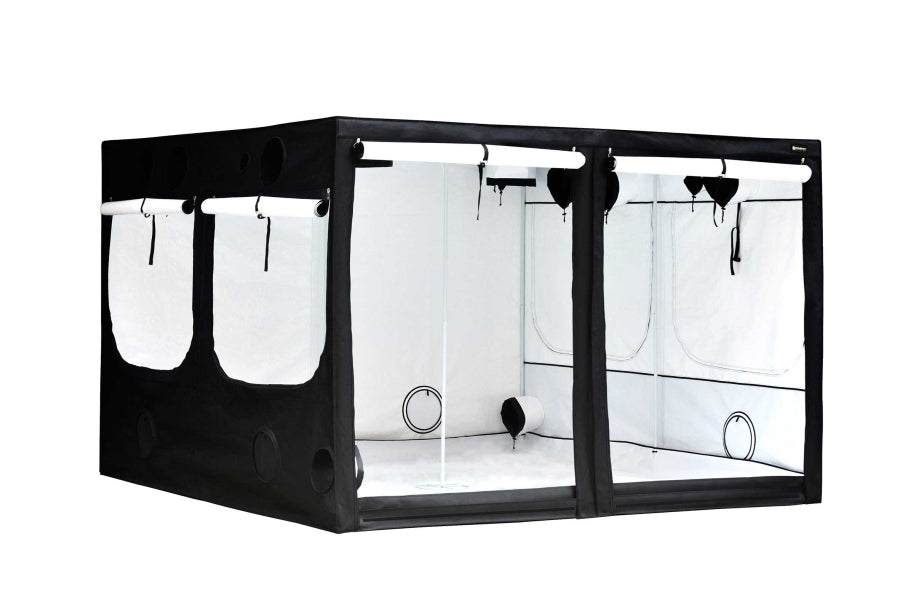 HOMEbox Ambient Q300 (300x300x200) with PAR+ – UrbanGardening