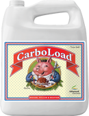 En vätska med carboload
