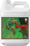 Edistyneet ravintoaineet Iguana -mehu kukkii orgaanista oim -lannoitetta