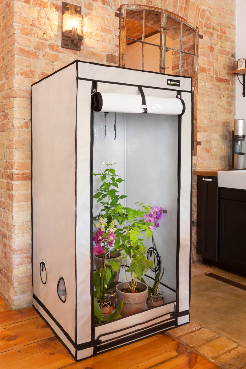 homebox ambient grow tent HOMEbox Ambient Q80+ – UrbanGardening