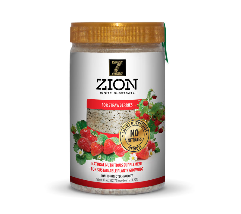 ZION for STRAWBERRIES